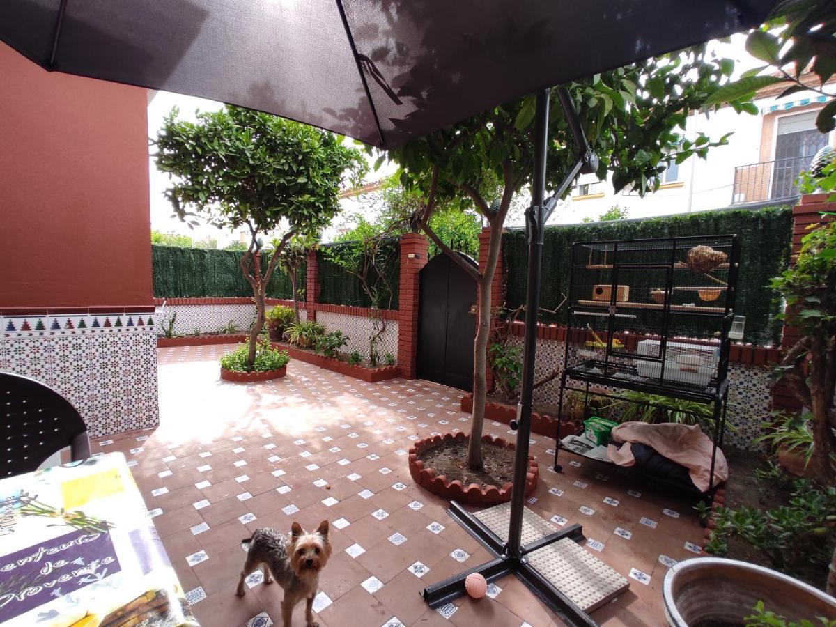 Villa Patricia Málaga Eksteriør bilde